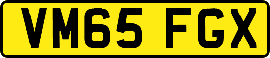 VM65FGX