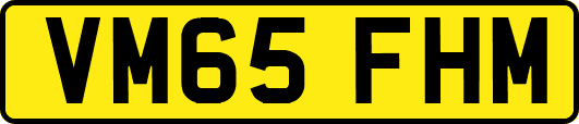 VM65FHM