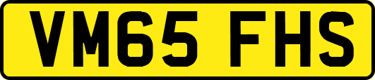 VM65FHS