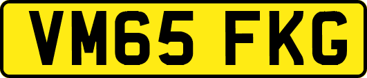 VM65FKG