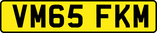 VM65FKM