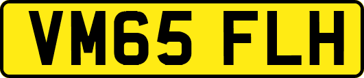 VM65FLH