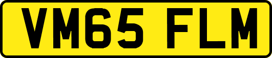 VM65FLM