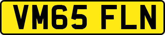 VM65FLN