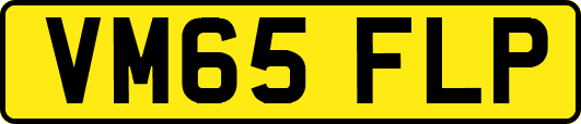 VM65FLP