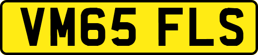 VM65FLS