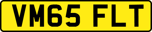 VM65FLT