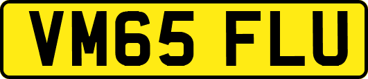 VM65FLU
