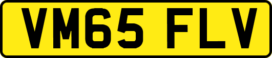 VM65FLV