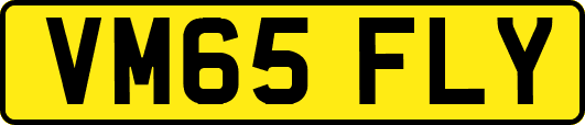 VM65FLY