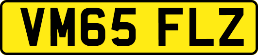 VM65FLZ
