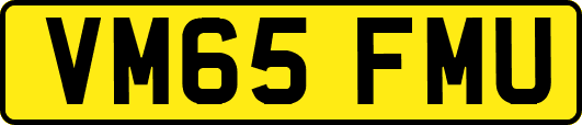 VM65FMU