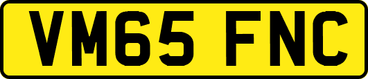 VM65FNC