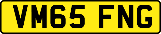 VM65FNG
