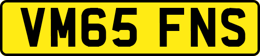 VM65FNS