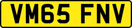 VM65FNV