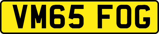 VM65FOG