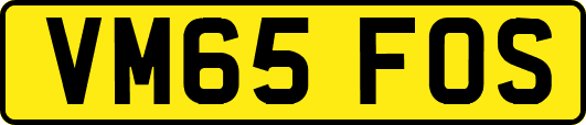 VM65FOS