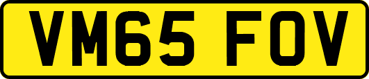 VM65FOV