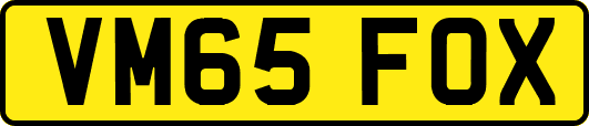 VM65FOX