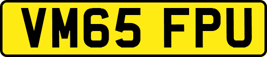 VM65FPU