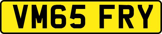 VM65FRY