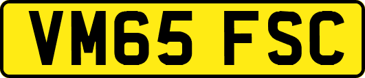 VM65FSC