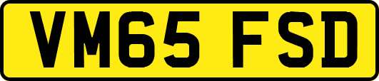 VM65FSD