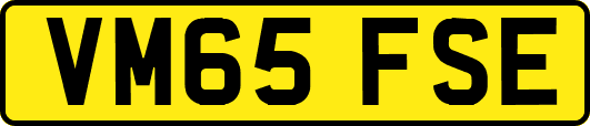 VM65FSE