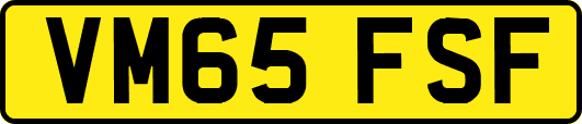 VM65FSF
