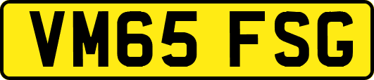 VM65FSG
