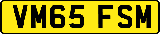 VM65FSM