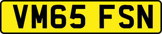 VM65FSN
