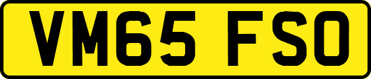 VM65FSO