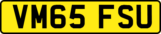 VM65FSU