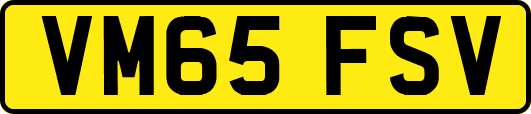 VM65FSV