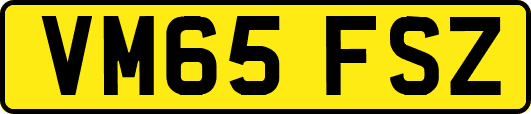 VM65FSZ