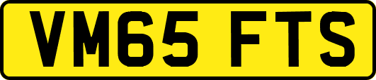 VM65FTS