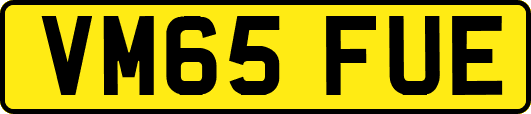 VM65FUE