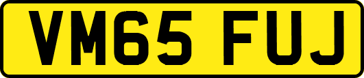 VM65FUJ