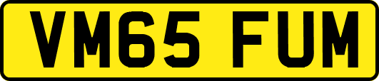 VM65FUM
