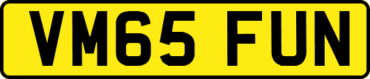 VM65FUN