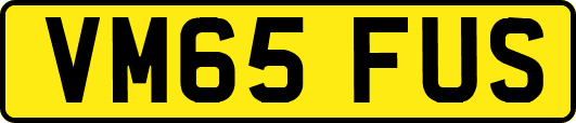 VM65FUS