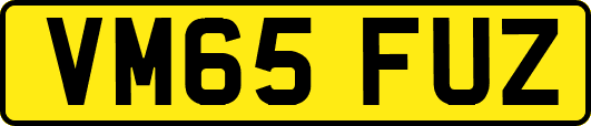 VM65FUZ