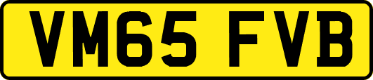 VM65FVB