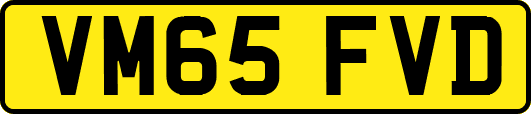VM65FVD