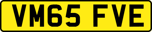 VM65FVE
