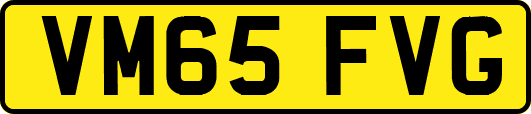 VM65FVG