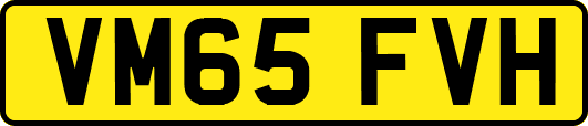 VM65FVH