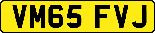 VM65FVJ